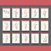 【豆瓣9.0分作品】《罗马人的故事》（修订版），礼盒装，全15册，32开平装，日 盐野七生著，中信出版社2020年修订版，印次不详，定价760，售价342元，非偏远地区包邮。 商品缩略图4