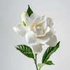 配花 | 栀子花 商品缩略图0