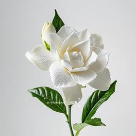 配花 | 栀子花
