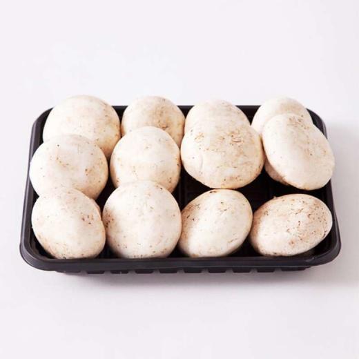 白蘑菇 约220g/份 商品图1