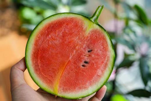 【山东潍坊-星玉蜜瓜西瓜】瓜皮翠绿 果肉红艳 皮薄且脆 水分足 无渣无纤维 甘甜可口 商品图1