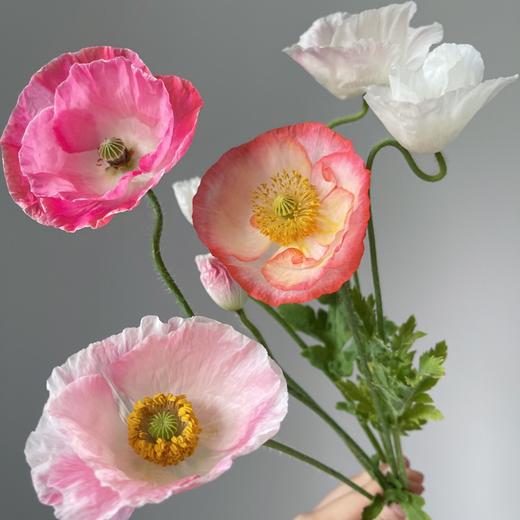 配花 ｜ 多头虞美人混色 商品图3