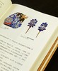 【特惠，重磅推荐】《中国古代首饰史》，一函三册，16开，布面精装，李芽等编著，江苏凤凰文艺出版社2020年一版，1140页，定价698，售价199元。 商品缩略图13