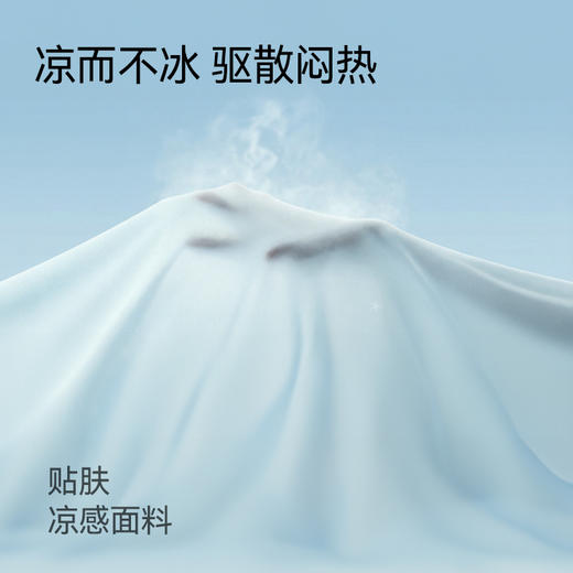 绘睡 呼呼凉感枕套 A类抗菌 冰丝透气枕头套纯色 一对装48*74cm 商品图3
