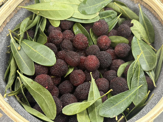 云南浙兴春梅杨梅（散称69.8/斤 称重补差） 商品图0