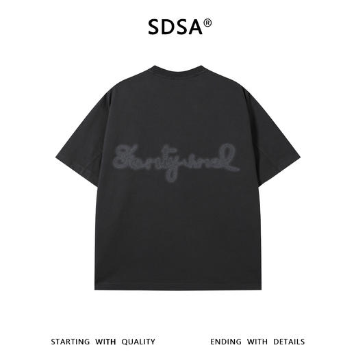 SDSA男装2026新款高贵轻奢宽松简约撞色印花字母圆领短袖T恤百搭 商品图4