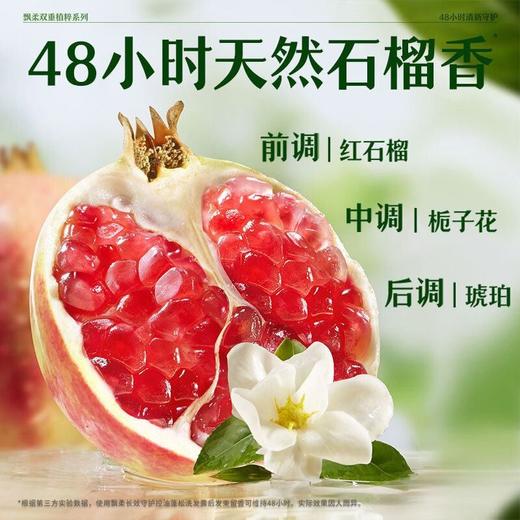 飘柔 茶树油+红石榴长效守护控油蓬松洗发露 600g/瓶 商品图1