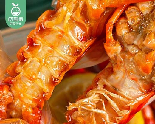 【预售-4月17日配送】拾锅侠青柠冰冰虾（小中青-硬345钱）/1桶（约44-50只，共约1.8kg，固形物≥40%）生产日期 4月15日左右 商品图1