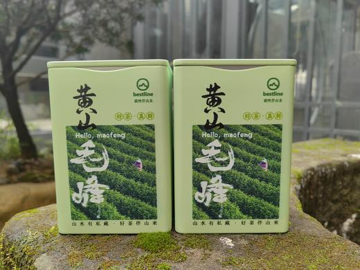 2026黄山毛峰/歙县产区/特二/50g 品鉴装 商品图2