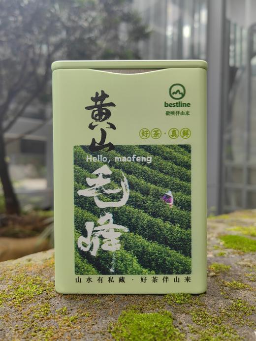 2026黄山毛峰/歙县产区/特二/50g 品鉴装 商品图1
