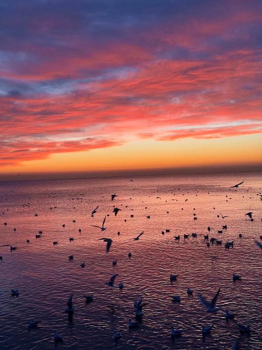 周末1天【天津蓝眼泪】浪尖跃动的“蓝色星河”の蓝眼泪奇观-东疆港日出&海鸥 商品图2