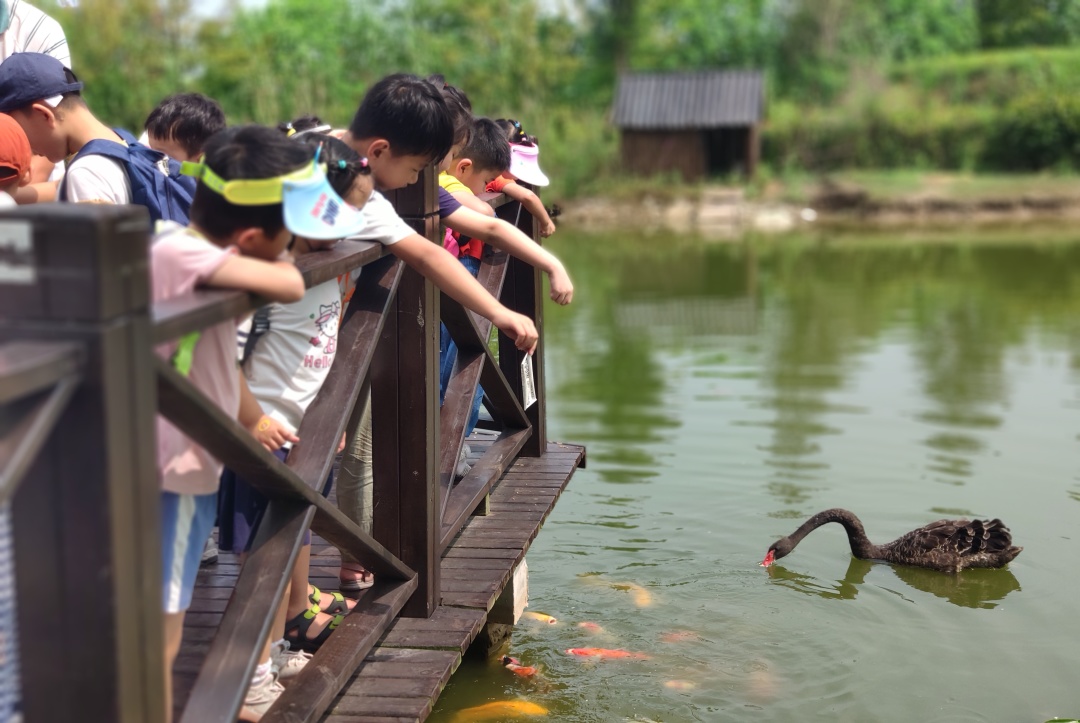 田野里的家庭日-农场欢乐半日游