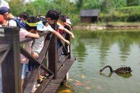田野里的家庭日-农场欢乐半日游