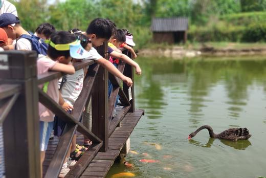 田野里的家庭日-农场欢乐半日游 商品图0