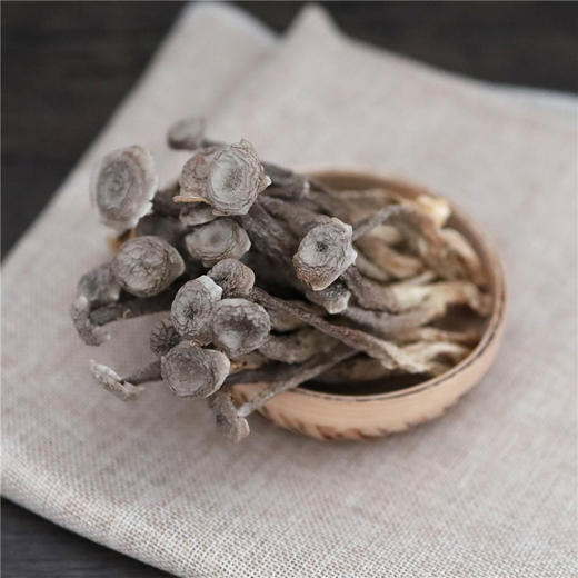 高州深山人鹿茸菇250g山野干货 商品图0