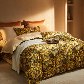 绎生活 弗西西亚全棉四件套 | 高支高密、柔软细腻、如“丝”般的光泽感、大气美观