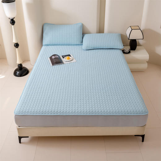 夏季冰感凉席！ROMASTER罗马世家 美学硅胶凉席床笠款3件套 厚实软糯 凉而不冰 6色可选 商品图9