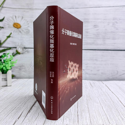 分子筛催化羰基化反应 商品图3