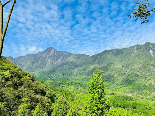 萤火追光野保实习生 商品图1