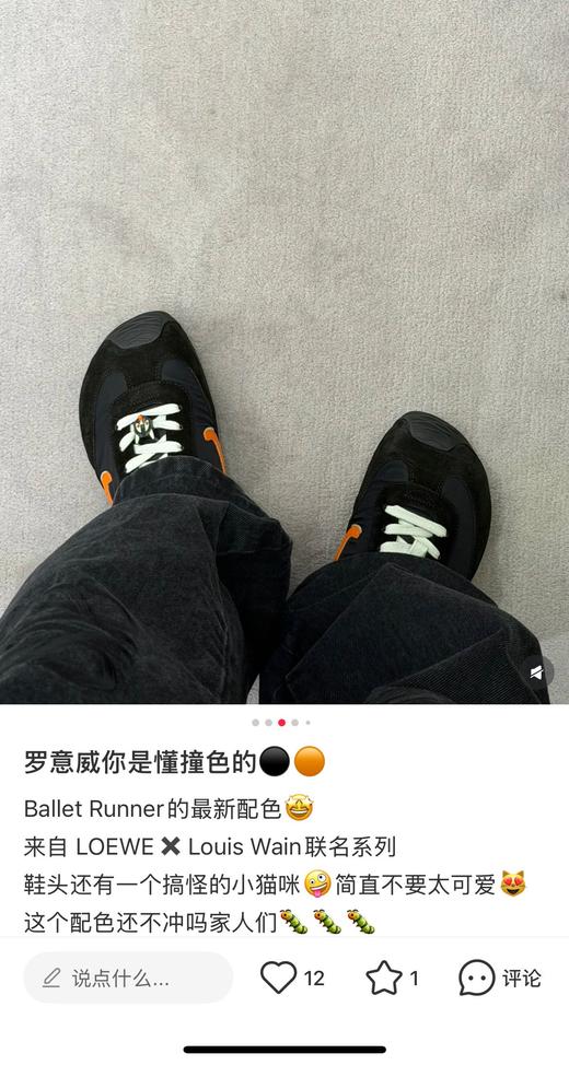 一店d  ❗️𝐁𝐚𝐥𝐥𝐞𝐭 𝐑𝐮𝐧𝐧𝐞𝐫 𝟐.𝟎独家单！樶--新配色准备暴躁吧 
这一次的限定芭蕾合作款loewe & Louis Wain 把喵星人的时尚革命诠释到了极致 商品图9