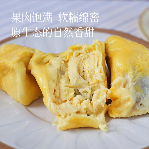 【马来树熟榴莲果肉拼盘 告别开盲盒  尝鲜推荐】黑刺/猫山王/苏丹王/红肉四大名种榴莲  低温速冻 真空锁鲜 商品图2