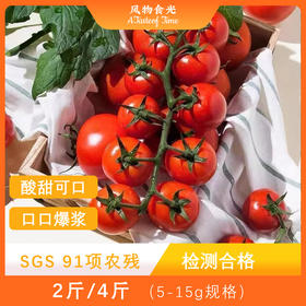 釜山88小番茄，正宗千禧玲珑圣女果，迷你樱桃番茄，超甜小西红柿小蕃茄