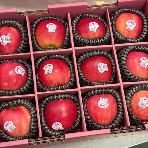 【新西兰小花苹果礼盒】人气单品！硬度好，鲜度好，自带花蜜香，脆甜多汁。12枚礼盒装，送礼推荐，江浙沪皖顺丰包邮~ 商品图0