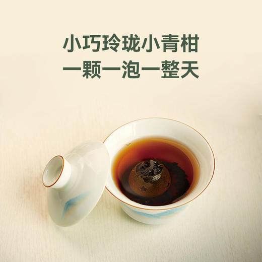 头采小青柑茶  ｜新会核心产区茶枝柑+云南普洱 正宗新会老树采摘 柑香千里 茶香满溢双香融合 解腻养生 一颗泡一天 自饮送礼皆宜 商品图7