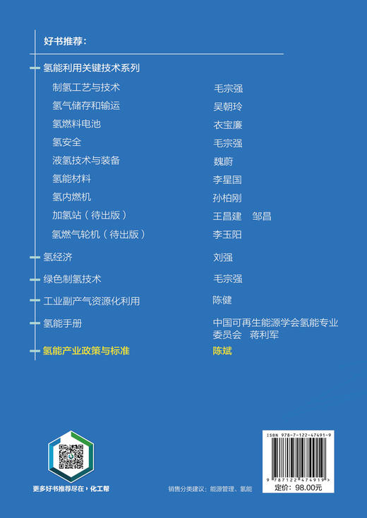 氢能产业政策与标准 商品图4