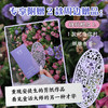 【特装版】【插图珍藏版】安徒生童话 商品缩略图1