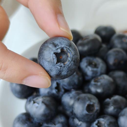 【99元到手12盒约3斤】正宗云南L25花香蓝莓！佳沃悦美添品牌，顺丰生鲜，品质保证，坏果包赔，花香脆甜，（本产季最后一波 预计4月15下架，错过再等明年！！！） 商品图4