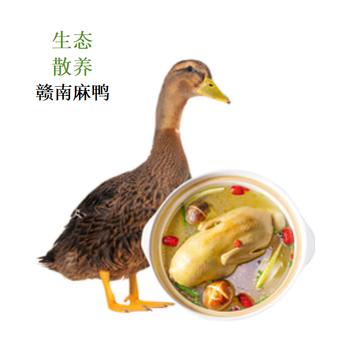 华英（HUAYING）赣南散养生态麻鸭净重2.5斤/袋冷冻整鸭新鲜土鸭煲汤红烧食材 商品图1