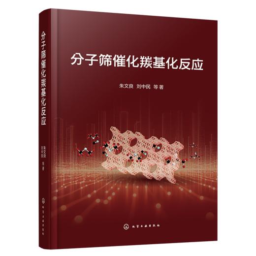 分子筛催化羰基化反应 商品图1