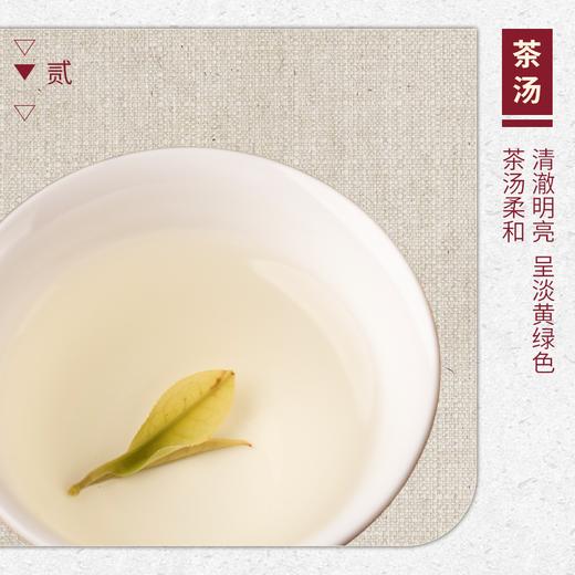 【山纯限品】（2026年绿茶）001安吉白茶25g 商品图3