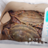 饱记 东海红膏梭子蟹野生肥美鲜顺丰冷鲜发货 商品缩略图3