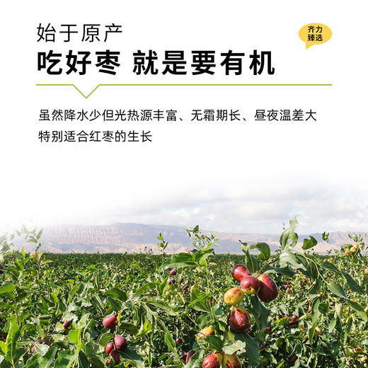 【凤品优选】有机免洗红枣 新疆特产灰枣 泡茶煲汤大枣 零食枣子 商品图2