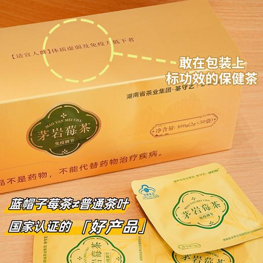 疯抢中！！【买2盒送手提礼袋】【蓝帽认证·茅岩莓茶】富含黄酮 健康好茶 回味甘甜 送礼更佳 100g/盒 商品图3