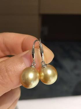 23.
南洋金珍珠耳钩 💛
10-11mm S925银镶嵌 椭圆 微瑕 珠光超亮 优雅金色