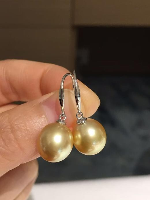 23.
南洋金珍珠耳钩 💛
10-11mm S925银镶嵌 椭圆 微瑕 珠光超亮 优雅金色 商品图0