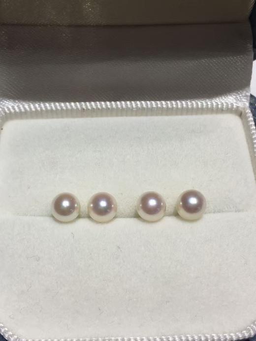 20.一口价福利·
经典小灯泡
5-5.5mmAkoya珍珠耳钉 S925银镶嵌 近圆 微瑕 珠光超亮 性价比高 一组2对 商品图2