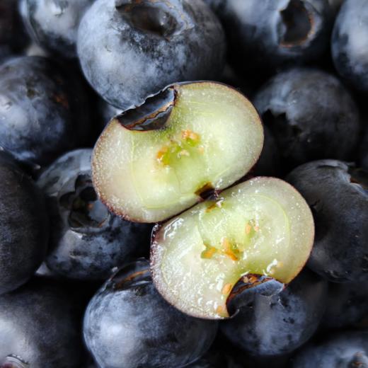 【99元到手12盒约3斤】正宗云南L25花香蓝莓！佳沃悦美添品牌，顺丰生鲜，品质保证，坏果包赔，花香脆甜，（本产季最后一波 预计4月15下架，错过再等明年！！！） 商品图1