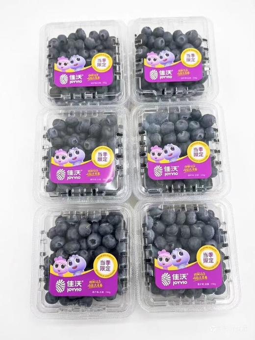 佳沃蓝莓15+ 商品图0