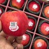 【新西兰小花苹果礼盒】人气单品！硬度好，鲜度好，自带花蜜香，脆甜多汁。12枚礼盒装，送礼推荐，江浙沪皖顺丰包邮~ 商品缩略图1