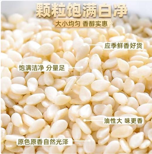 【QT】生白芝麻 无杂质免洗烘焙蘸料 商品图1