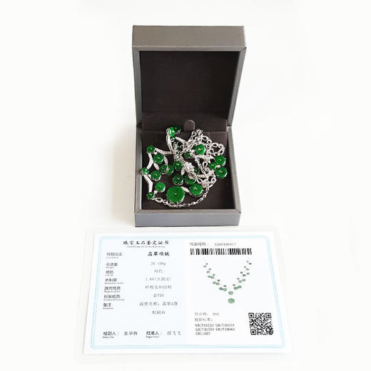【天然正品】A货翡翠AU750收藏级白金豪镶钻群镶奢华款天然细腻糯冰种满绿平安扣造型翡翠项链 链长：46CM（长度可调节）060426NJM31 商品图1