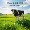 蒙牛（MENGNIU）全程冷链 0蔗糖醇酸奶生牛乳发酵乳酸菌酸奶原味整箱150g×12袋 商品缩略图1
