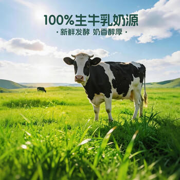 蒙牛（MENGNIU）全程冷链 0蔗糖醇酸奶生牛乳发酵乳酸菌酸奶原味整箱150g×12袋 商品图1