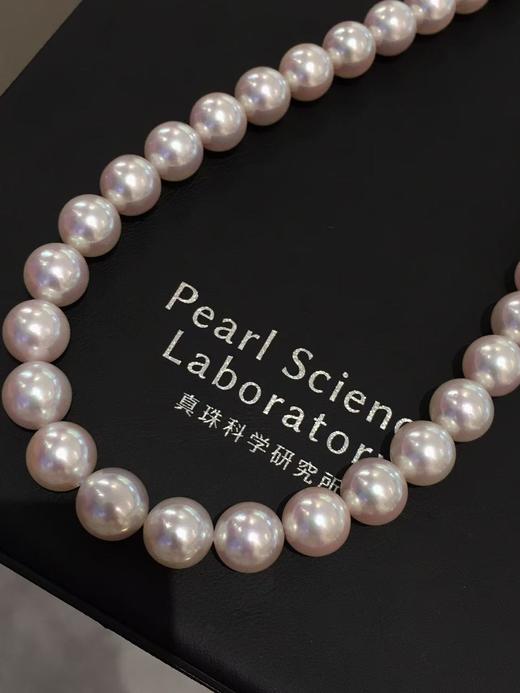 22
【孤品】AKOYA之王者之王 商品图1