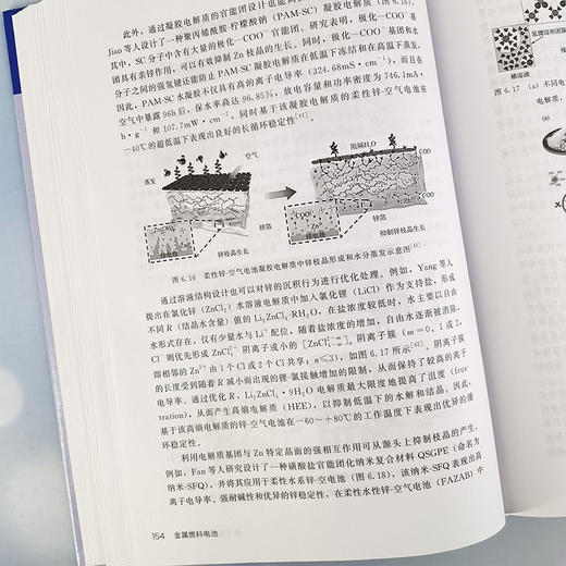 先进电化学能源存储与转化技术丛书--金属燃料电池 商品图2