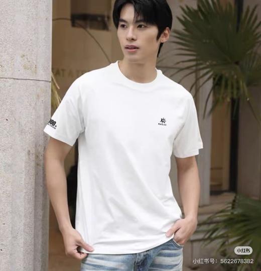 凯乐石 8000+山峰系列网布拼接速干圆领短袖T恤 Z-15937 商品图4